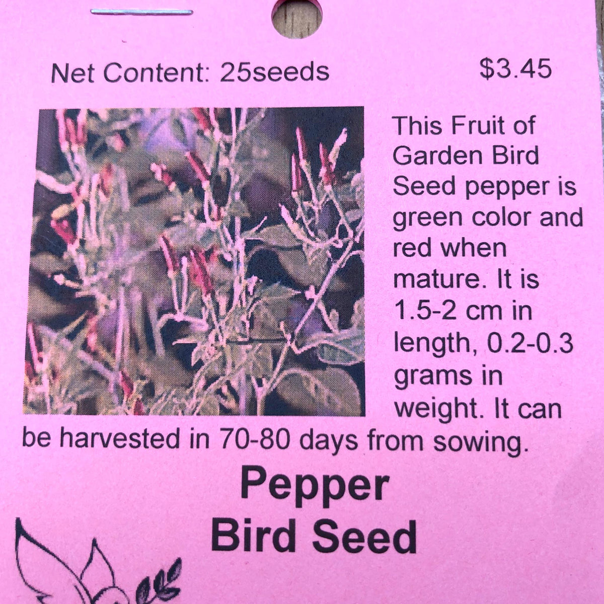 Pepper, Bird Seed Asagi Hatchery