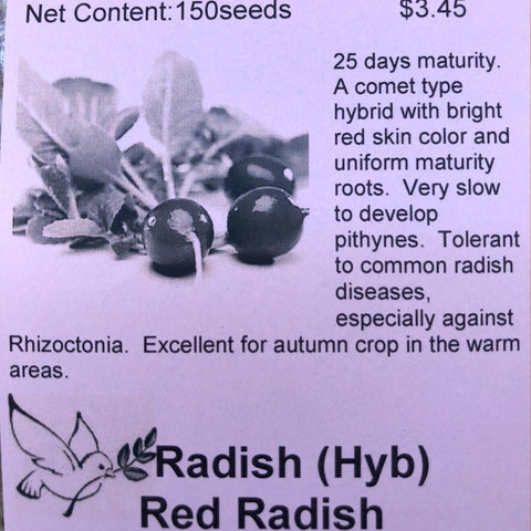 Radish (Hyb), Red Radish