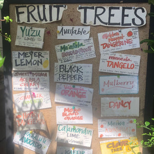 Fruit Trees: Current availability as of 9/3/21
