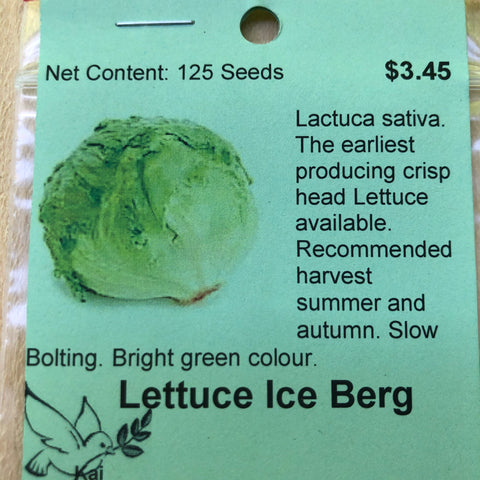 Lettuce, Ice Berg