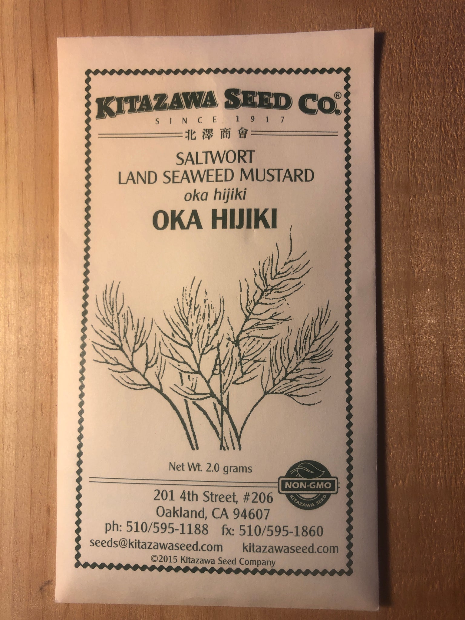 Oka Hijiki, Saltwort, Land Seaweed Mustard