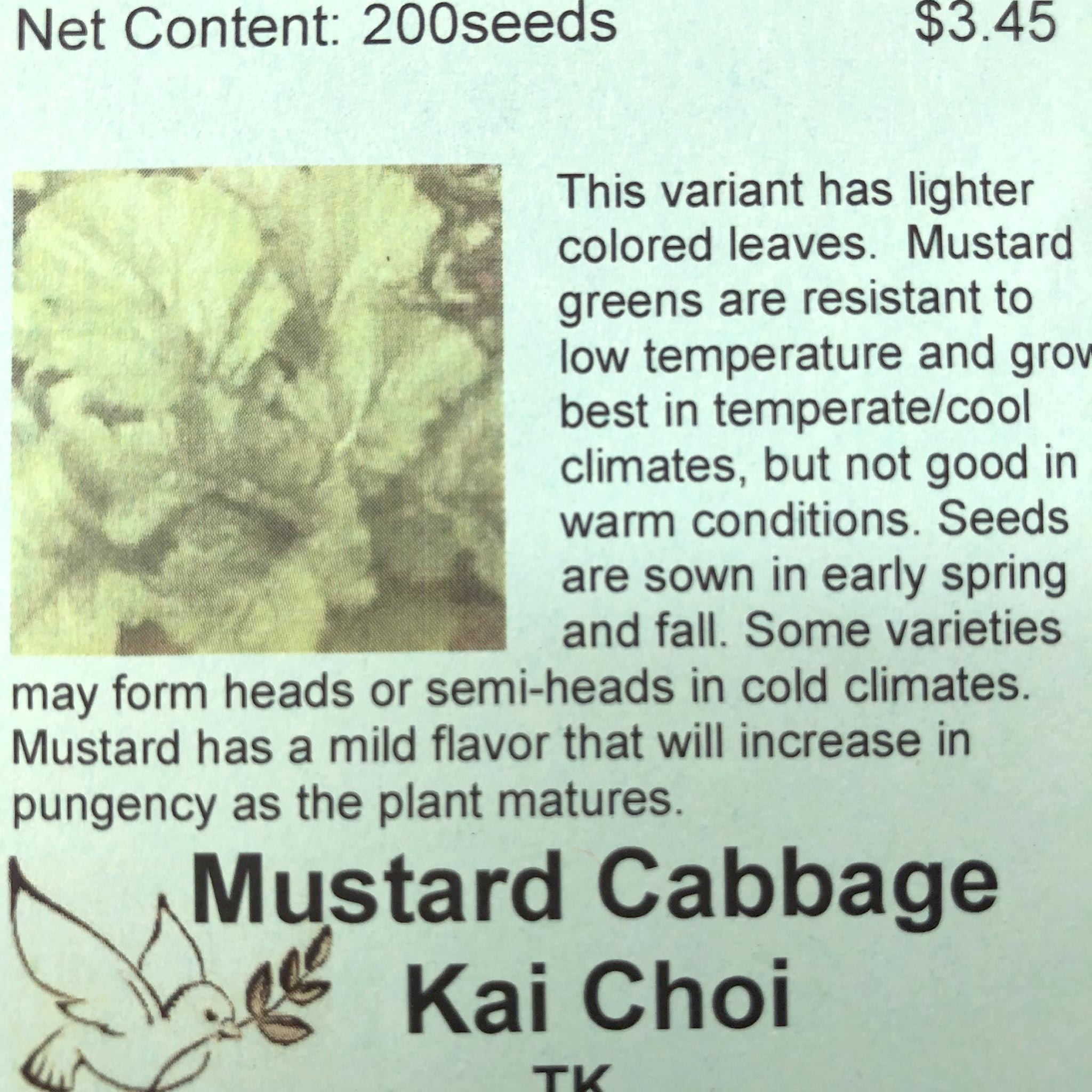 Mustard Cabbage, Kai Choi