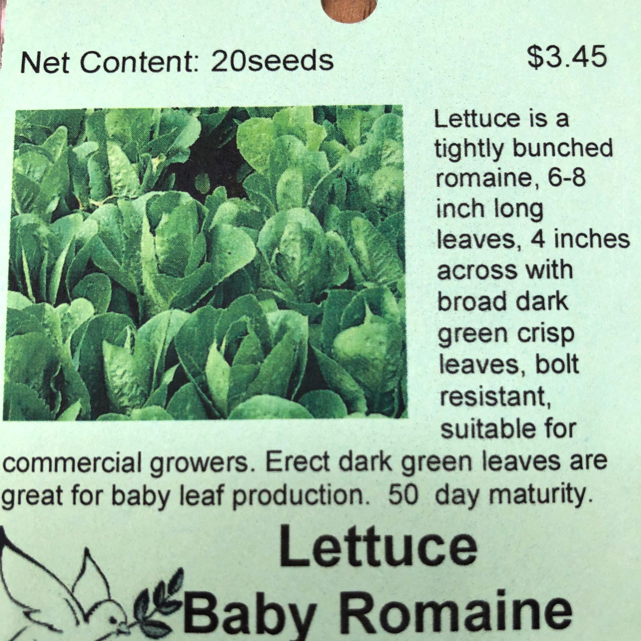 Lettuce, Baby Romaine