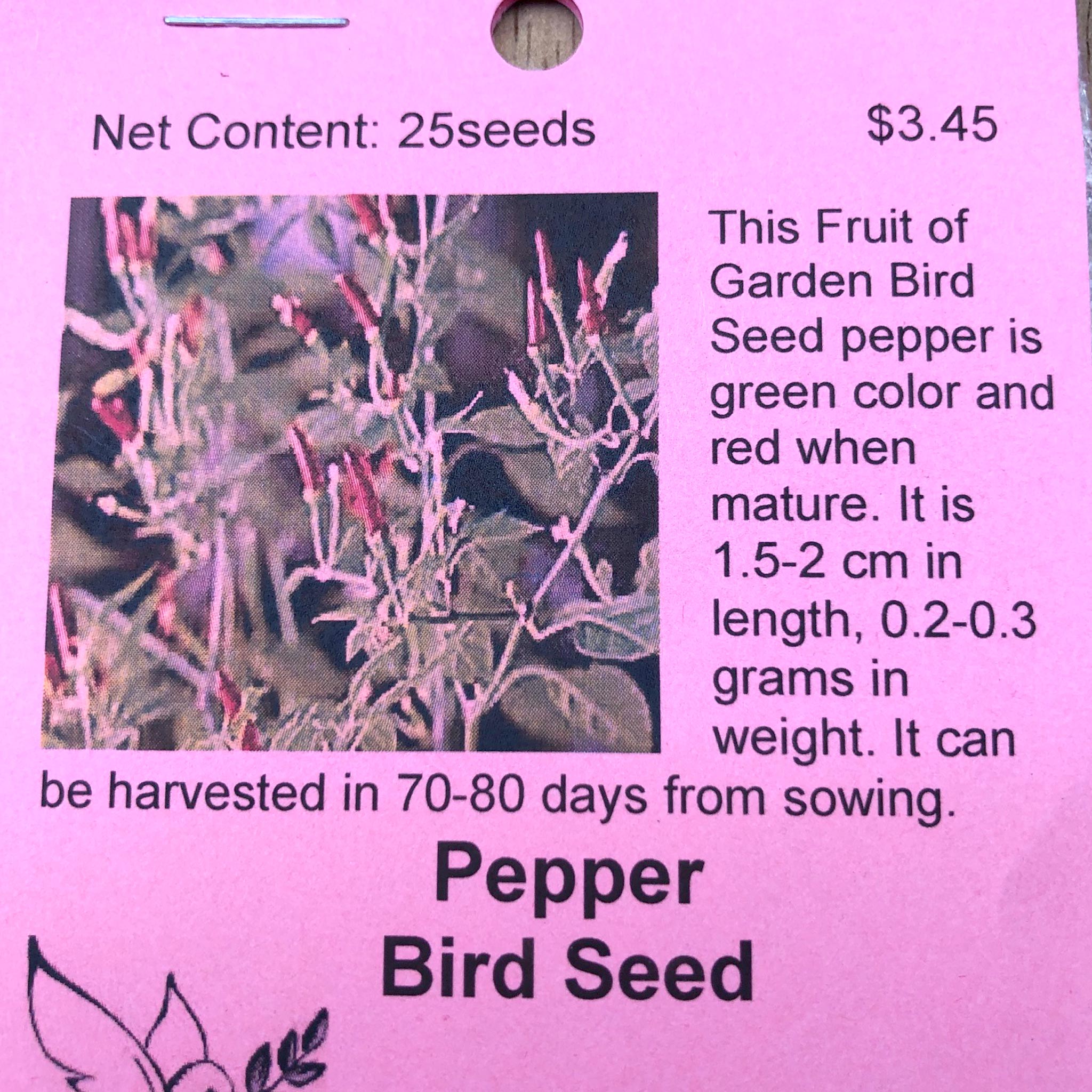 Pepper, Bird Seed