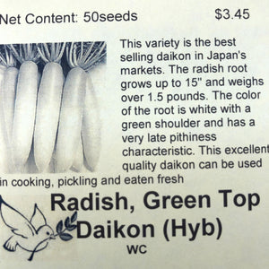 Radish (Hyb), Green Top, Daikon