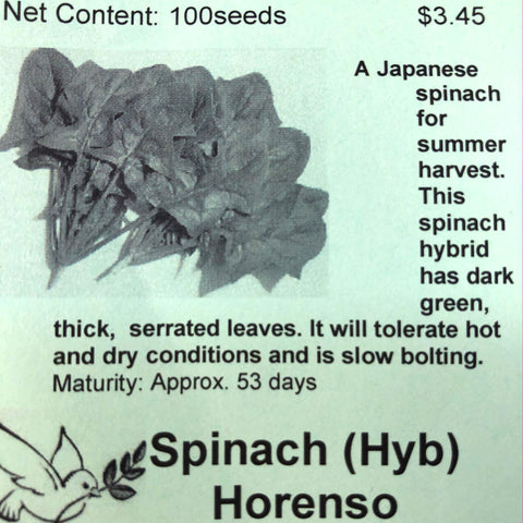 Spinach (Hyb), Horenso