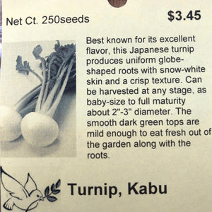 Turnip, Kabu