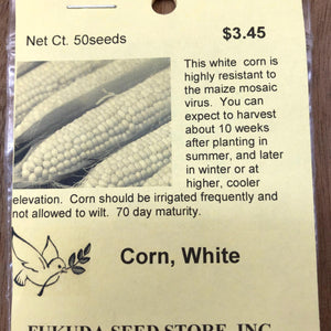 Corn, White