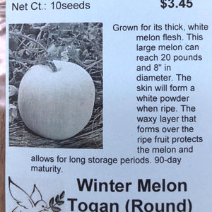 Winter Melon, Togan (Round)